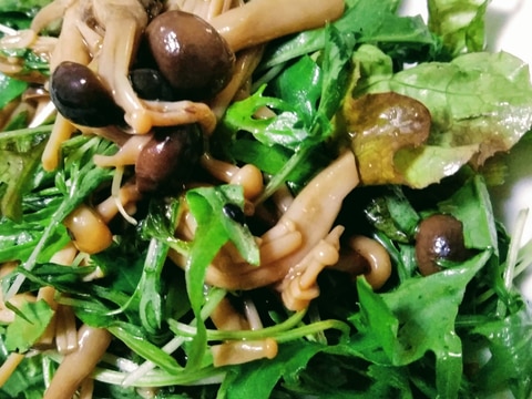 おうちでデリ気分 きのこたっぷりデリサラダ レシピ 作り方 By Jam 楽天レシピ